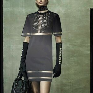 Alexander Wang for H&M dress , mesh elegant dress, celebrity style Medium